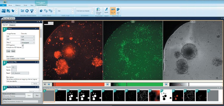 3D Custom Module Editor Schnittstelle mit MitoTracker (links), T-Zelle (Mitte) und TL-Kanal (rechts)