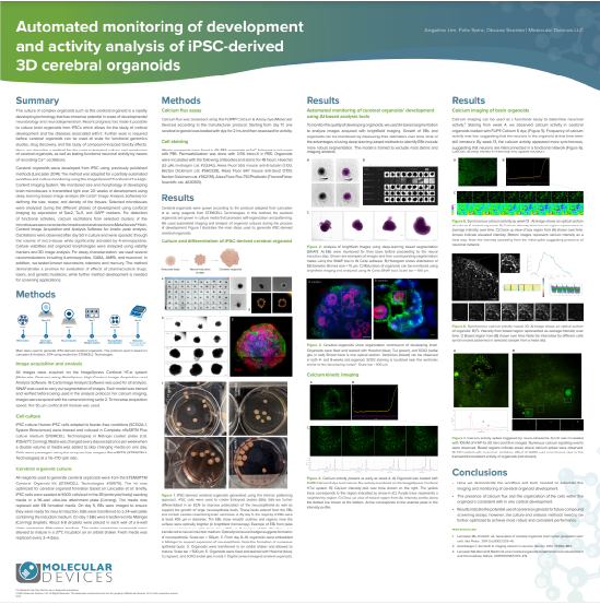 Automatisierte Überwachung der Entwicklung und Analyse der Aktivität von aus iPSC gewonnenen 3D-Gehirn-Organoiden