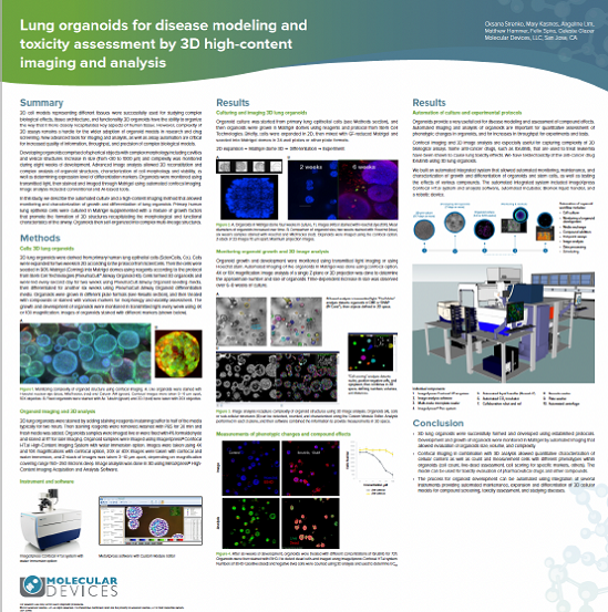 Lungen-Organoide als Krankheitsmodell zur Beurteilung der Toxizität mittels 3D-High-Content-Imaging und -Analyse