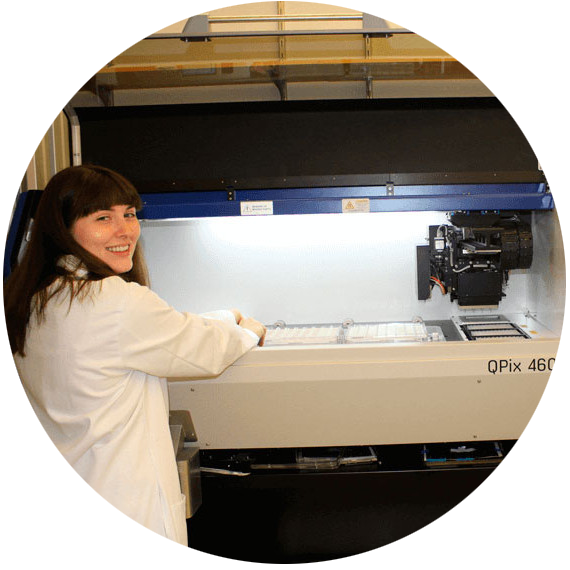 Die Harvard Medical School verwendet die QPix Colony Picker