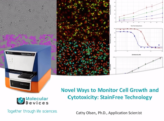Neuartige Wege zur Überwachung von Zellwachstum und Zytotoxizität: StainFree Technologie