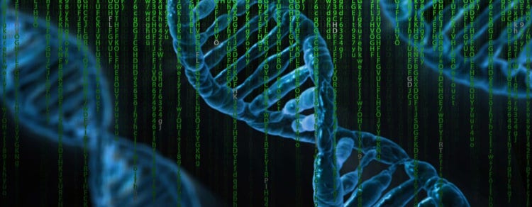 Nachweis von Nukleinsäuren (DNA/RNA)
