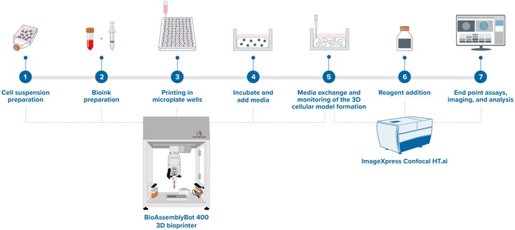 Bioprinting-Assay-Arbeitsablauf