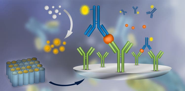 ELISA (Enzyme-Linked Immunosorbent Assay)