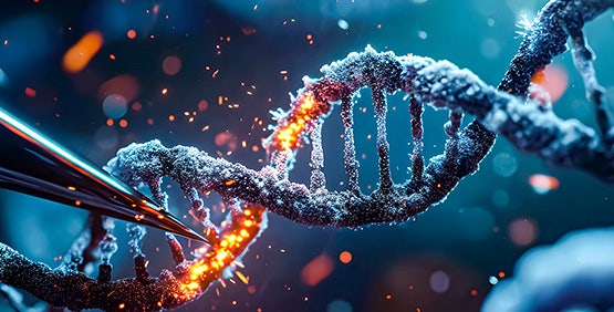 CRISPR-Cas9 in der Erforschung und Behandlung von Krankheiten