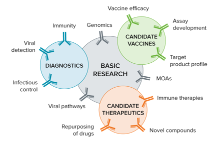 Grundelegende Forschung-Diagnostik-Impfstoffe-Therapeutika