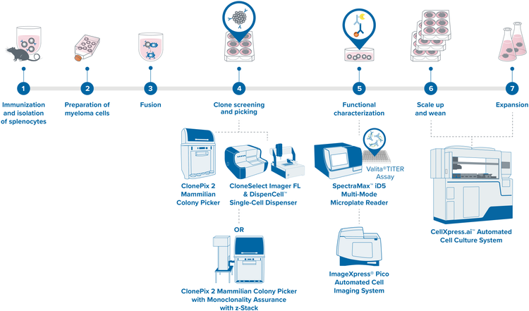 Workflow-Lösung für die mAb-Produktion