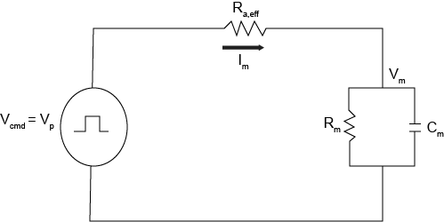 Eine Darstellung des Schaltkreises für die kontinuierliche Einzelelektroden-Voltage-Clamp.