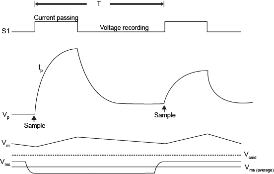 Spannungs-Zeit-Diagramm zur diskontinuierlichen Einzelelektroden-Voltage-Clamp