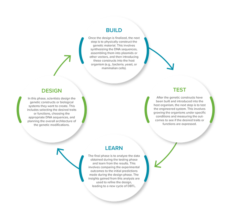 DBTL (Design-Build-Test-Learn)-Ansatz