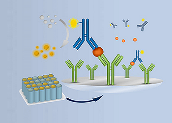Optimieren Sie Absorptions-Assays für die Quantifizierung von Nukleinsäuren und Proteinen