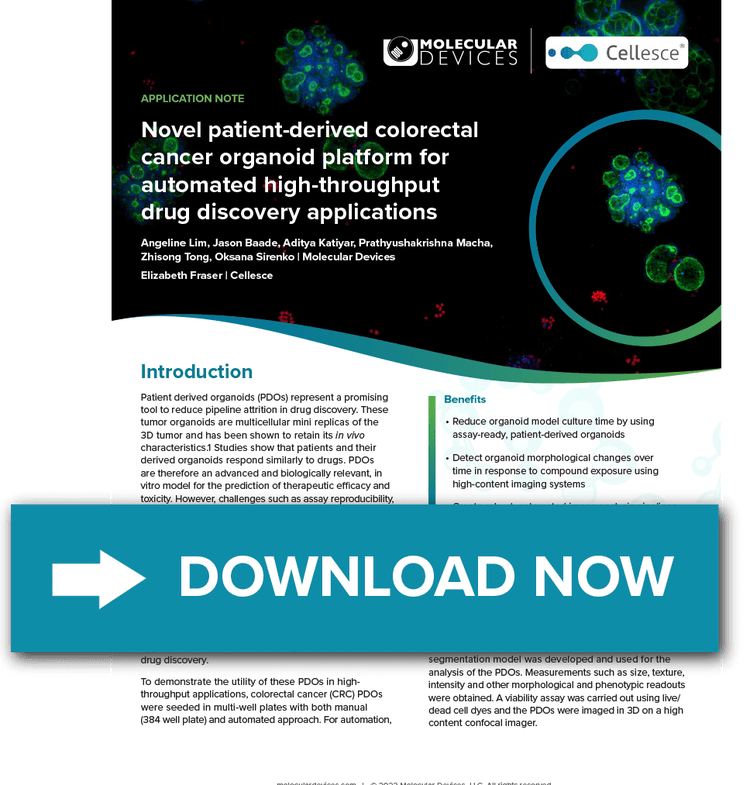 Human IgG Protein Detection Signal