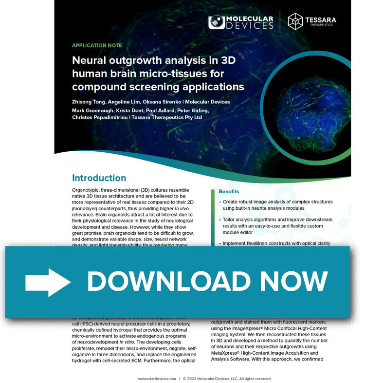 Neural outgrowth analysis in 3D human brain micro-tissues