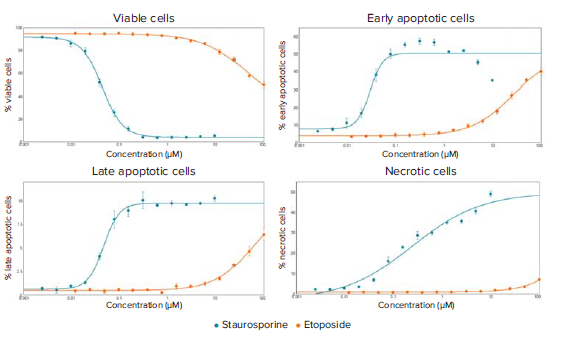 Dose-response curves for staurosporine and etoposide