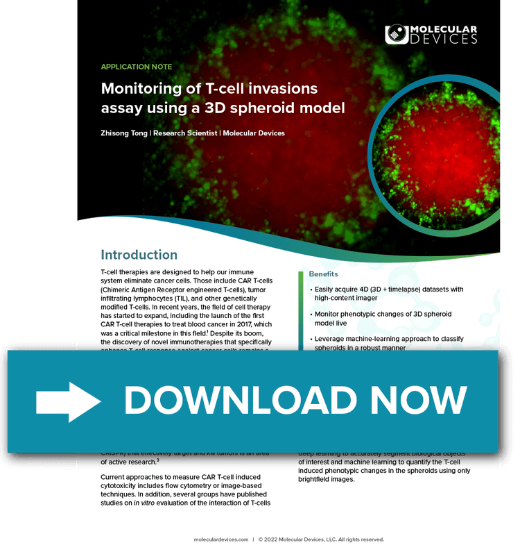 Monitoring of T-cell invasions assay using a 3D spheroid model