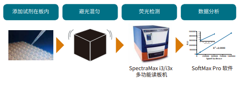 SpectraMax Glo Steady-Luc Reporter 试剂盒工作流程