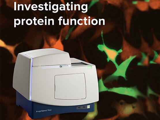 ImageXpress Pico zur Erforschung der Proteinfunktion