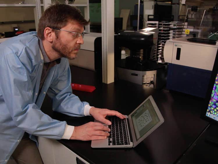 Dr. Stephen Brown, Sheffield RNAi Screening Facilities Manager