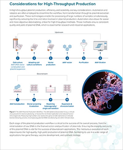 High-Throughput Production