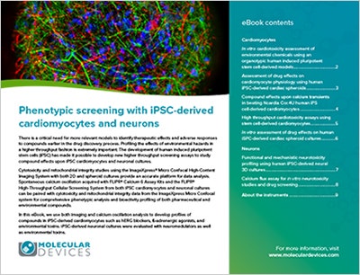 Phenotypic Screening With iPSC-Derived Cardiomyocytes