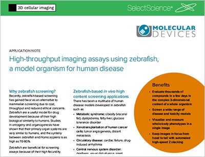 high-throughput-imaging-assays-using-zebrafish