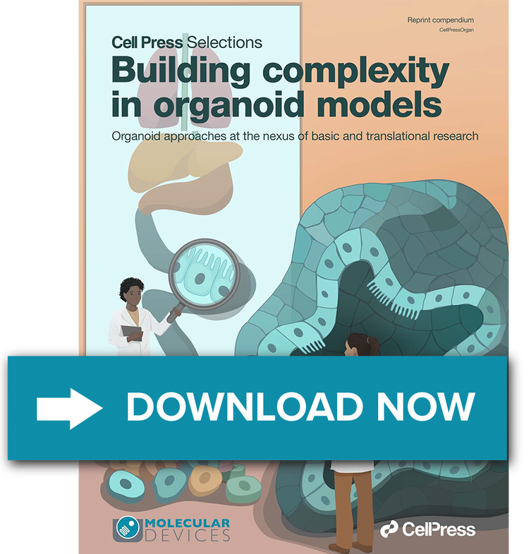 Building complexity in organoid models