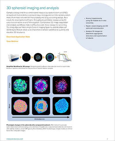 3D spheroid imaging