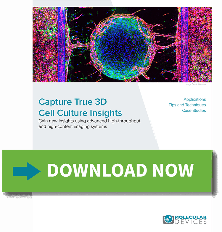 Capture True 3D Cell Culture Insights
