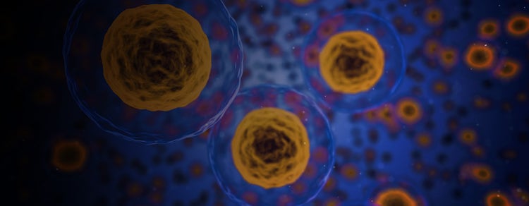 Cell Viability Assays