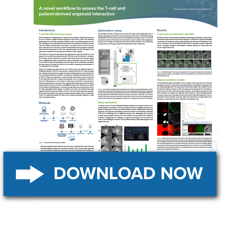 T-cell and patient-derived organoid interaction -Poster