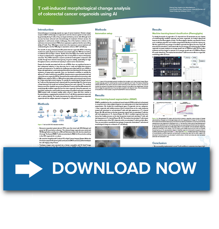T-cell Poster