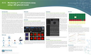 3D Spheroid Poster