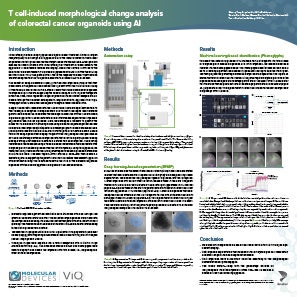 T-Cell Poster