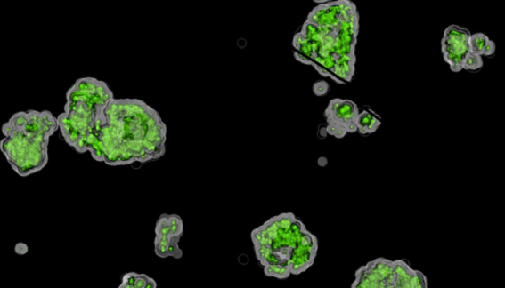 Automating the generation and analysis of 3D cell cultures in Matrigel®