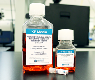 XP Media und CloneMedia