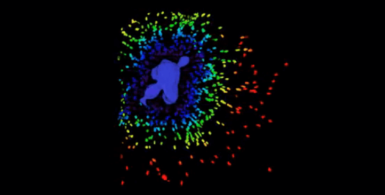 3D-Zell-Imaging und -analyse