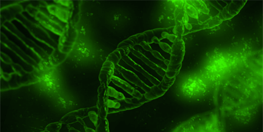 Fluorometrische Quantifizierung von Nukleinsäuren