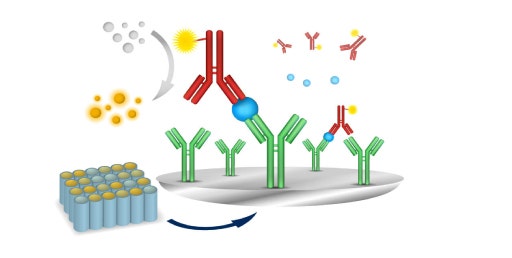 Chemilumineszenter ELISA