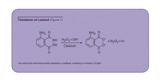 Chemilumineszenter VEGF-ELISA