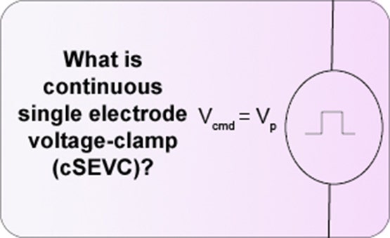 Kontinuierliche Einzelelektroden-Voltage-Clamp (cSEVC)