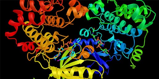 Enzymkinetiken, bakterielles / mikrobiologisches Wachstum