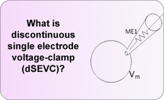 Diskontinuierliche Einzelelektroden-Voltage-Clamp (dSEVC)