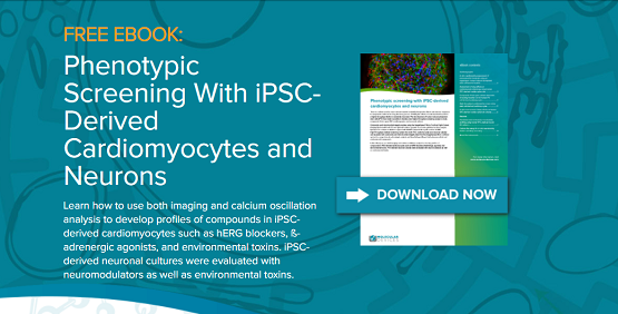 E-Book: Phänotypisches Screening mit aus iPSC stammenden Kardiomyozyten und Neuronen