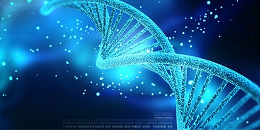 DNA/RNA-Quantifizierungsprobe