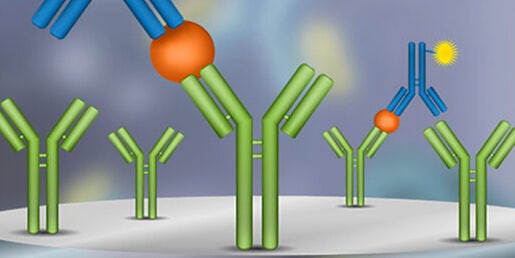 ELISA/Immunoassays (Quantifizierung von Antigenen, Antikörpern, Zytokinen, …)