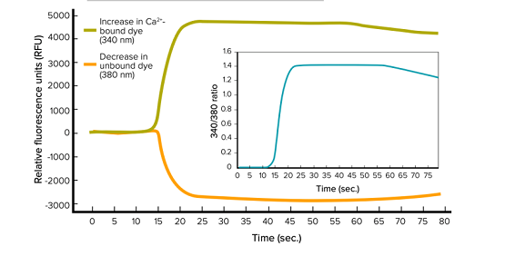 Fura-2 QBT Calcium