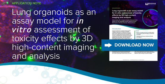 Beobachten Sie Lungenorganoide mittels 3D-High-Content-Imaging