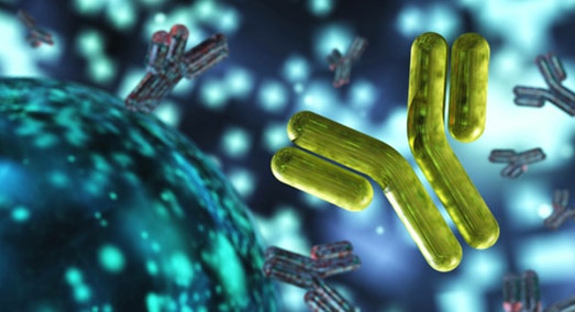 Quantifizierung von Immunglobulin G (IgG)