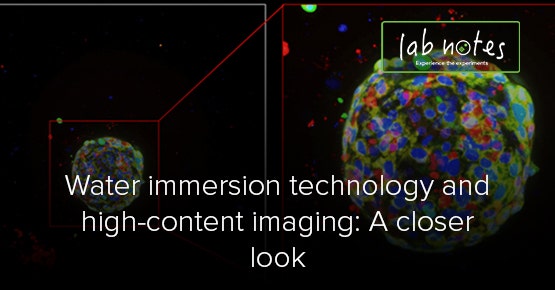 Wasserimmersionstechnologie und High-Content-Imaging: Eine genauere Betrachtung