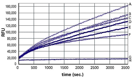 Fibroblasten vs. Adipozyten; Ansprechverhalten auf Insulin-Dosis